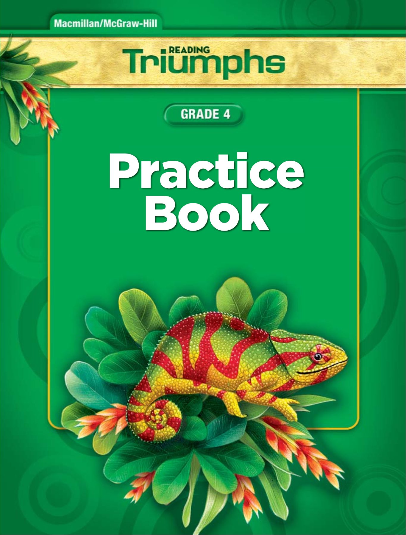 reading-triumphs-practice-book-4-sania-library