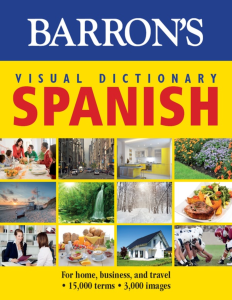 Rich Results on Google's SERP when searching for 'Barron's Visual Dictionary Spanish Book'