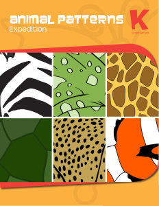 animal-patterns-expedition-workbook