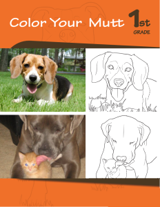 color-the-mutts-workbook